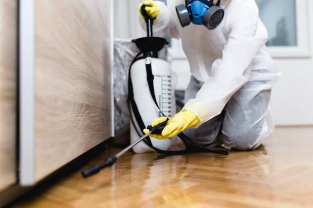 Best Cockroach Control Services  in Lwa, CA