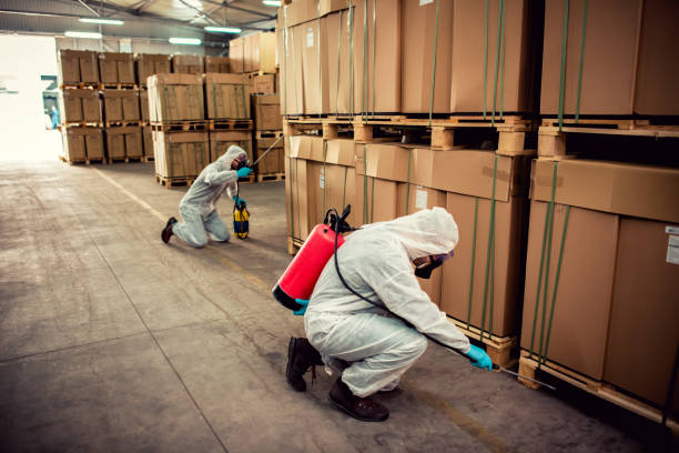 Wasp Removal Services in Calwa, CA