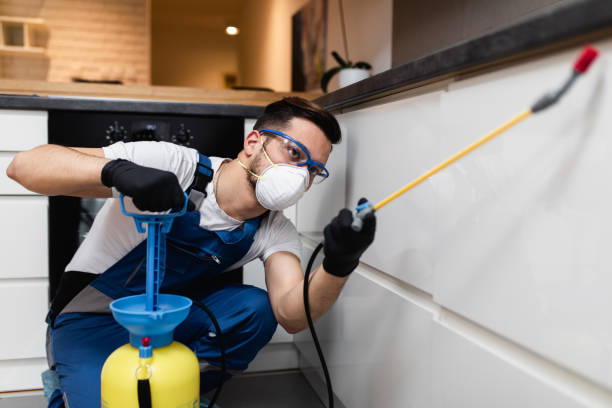 Best Flea Control Services  in Lwa, CA