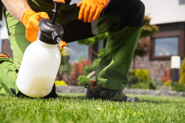 Best Affordable Pest Control Services  in Lwa, CA