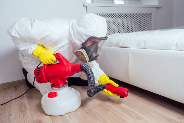 Best Affordable Pest Control Services  in Lwa, CA