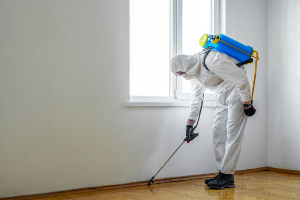 Best Termite Control Services  in Lwa, CA