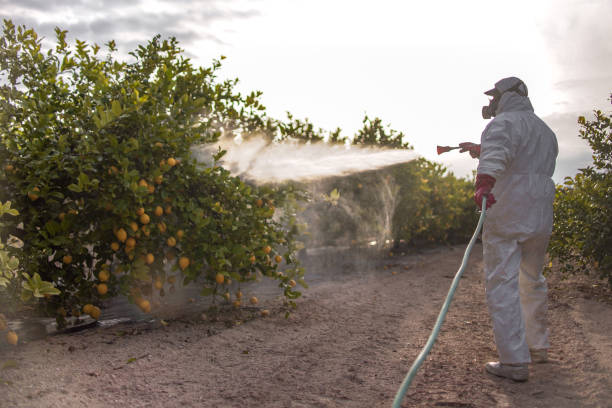Best Local Pest Control Services  in Lwa, CA