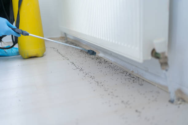 Best Mosquito Control Services  in Lwa, CA