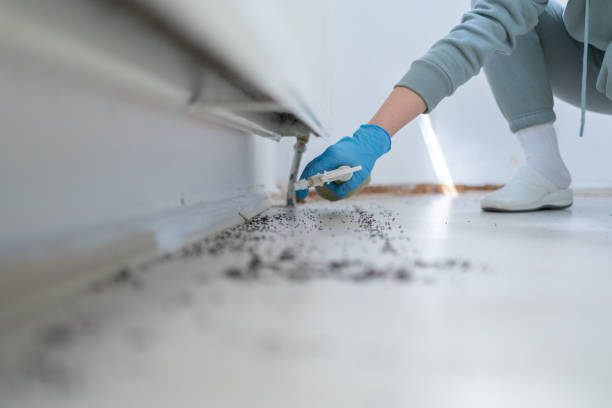 Best Commercial Pest Control Services  in Lwa, CA