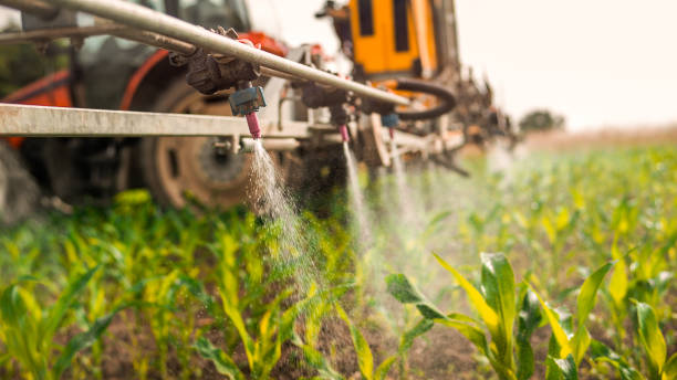 Reliable Calwa, CA Pest Control Solutions