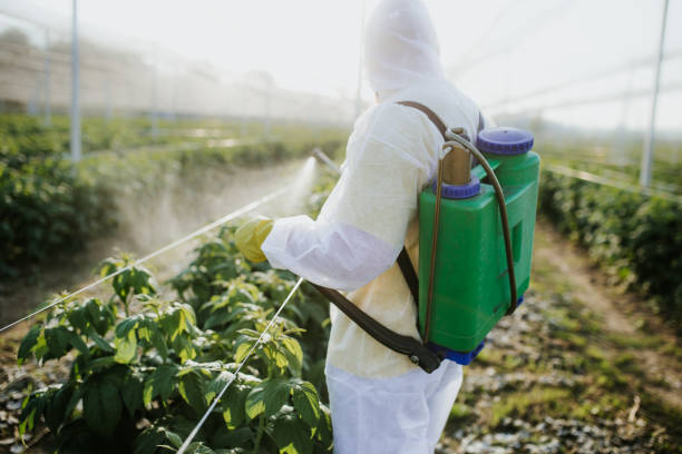 Best Wildlife Control Services  in Lwa, CA